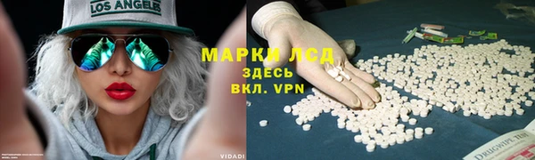 ешки Аркадак