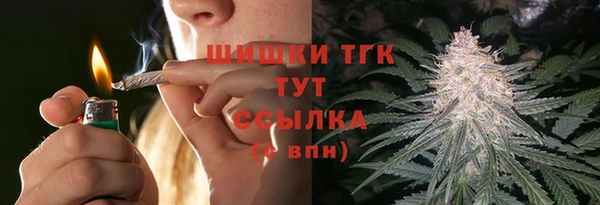 spice Арсеньев