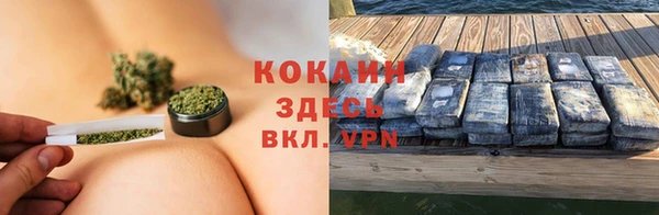 spice Арсеньев