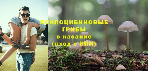 эйфоретик Армянск
